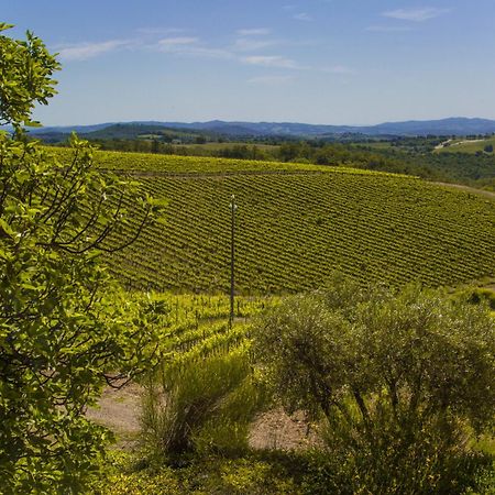 Fattoria Di Magliano Winery Magliano in Toscana Quarto foto