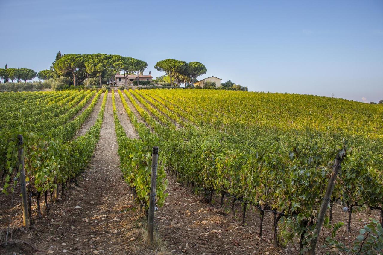Fattoria Di Magliano Winery Magliano in Toscana Exterior foto