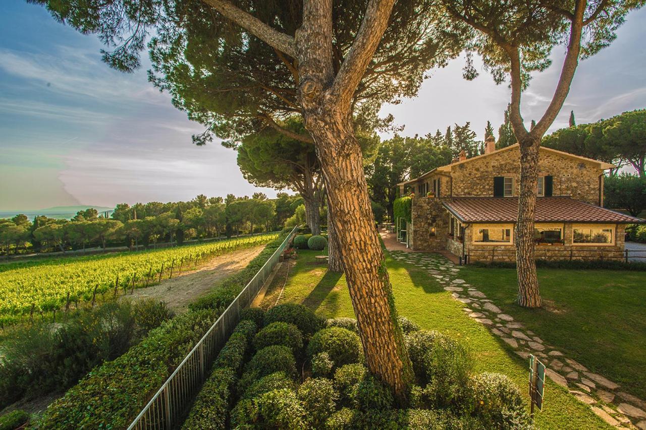 Fattoria Di Magliano Winery Magliano in Toscana Exterior foto