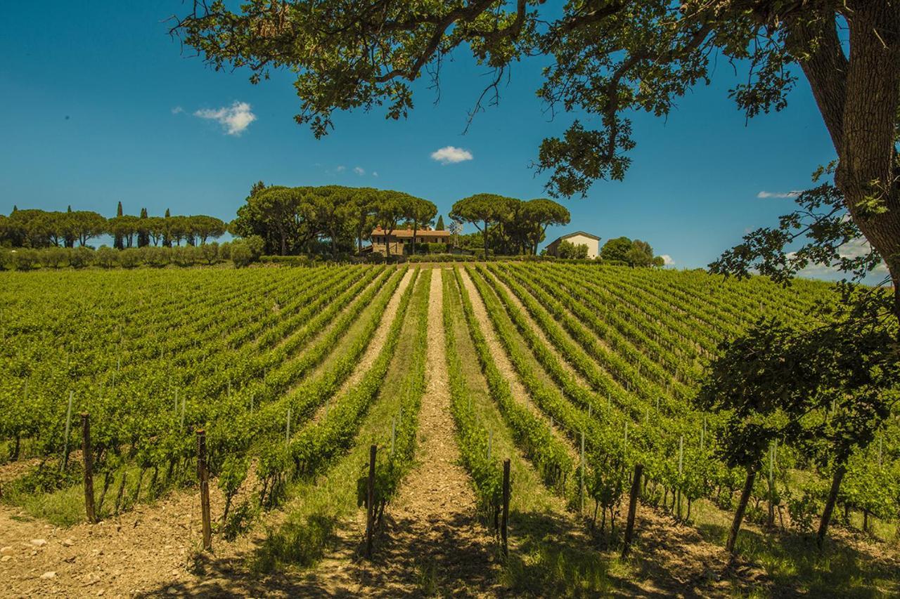 Fattoria Di Magliano Winery Magliano in Toscana Exterior foto