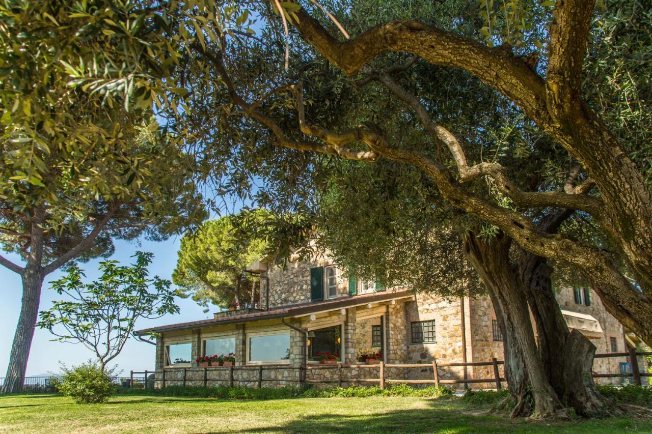 Fattoria Di Magliano Winery Magliano in Toscana Exterior foto