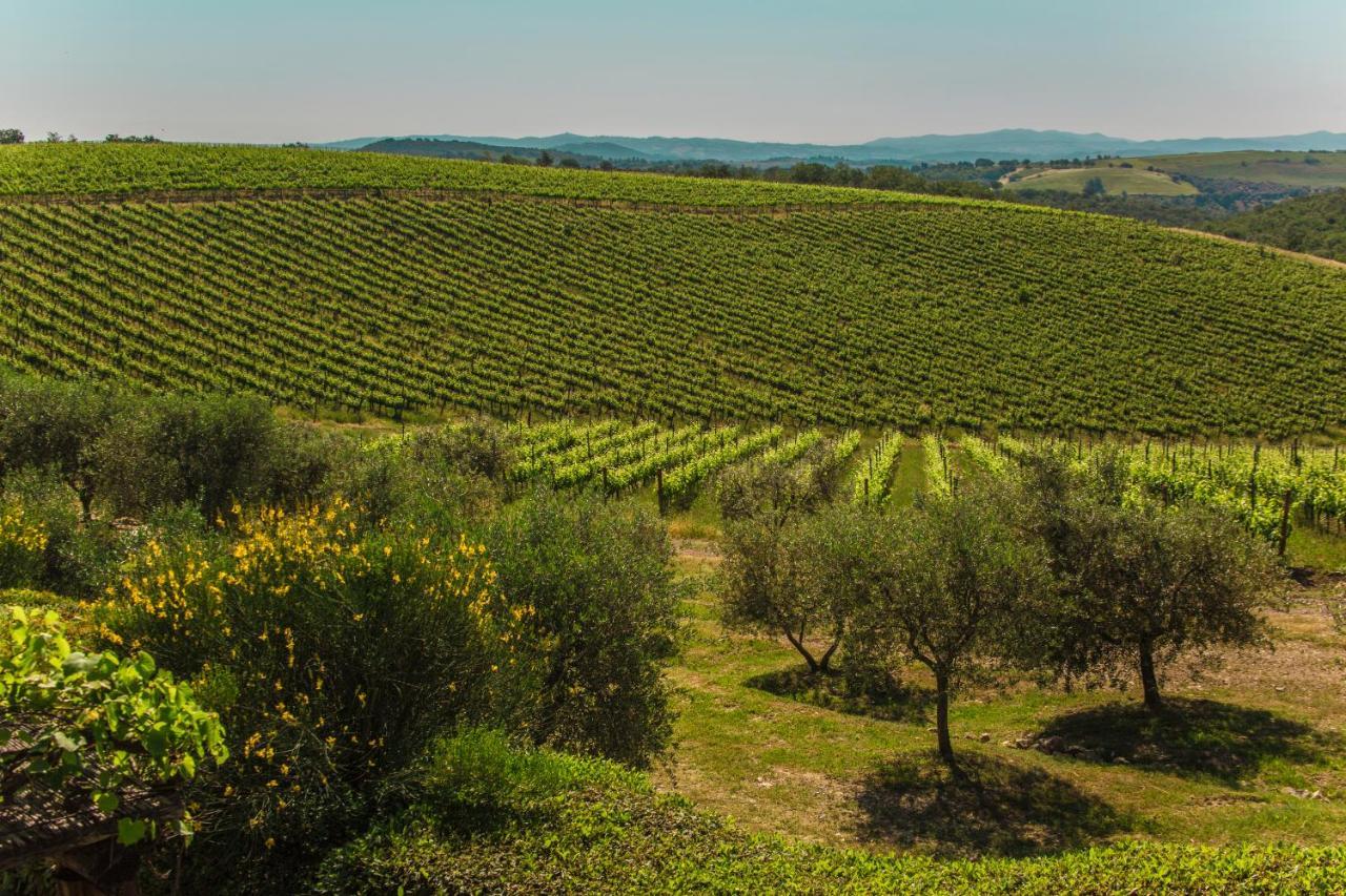 Fattoria Di Magliano Winery Magliano in Toscana Exterior foto